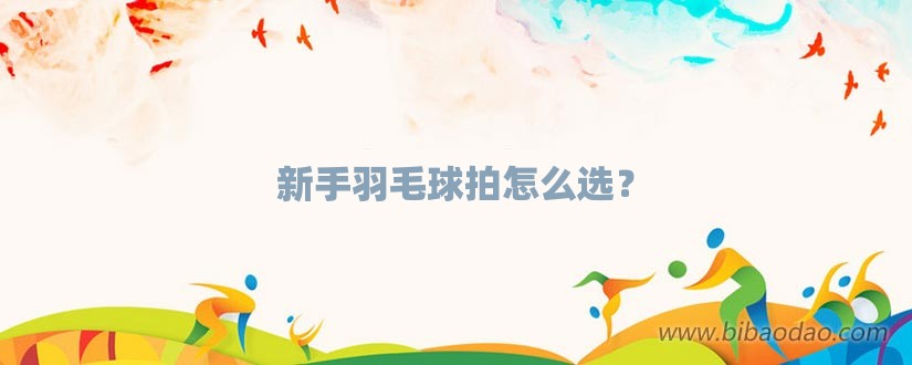 新手羽毛球拍怎么选？-第1张图片